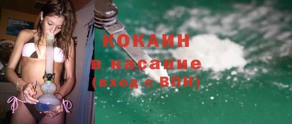 гашик Арсеньев