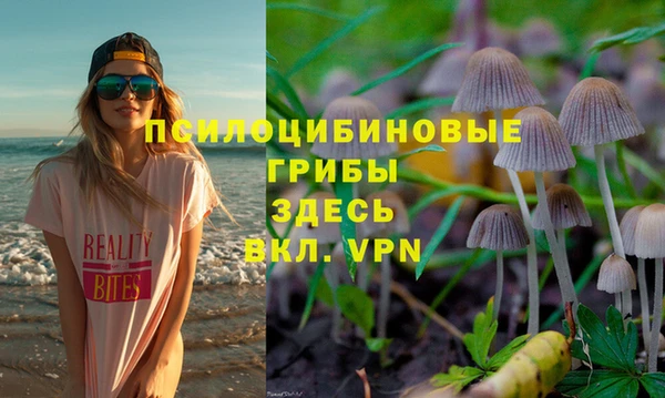 гашик Арсеньев