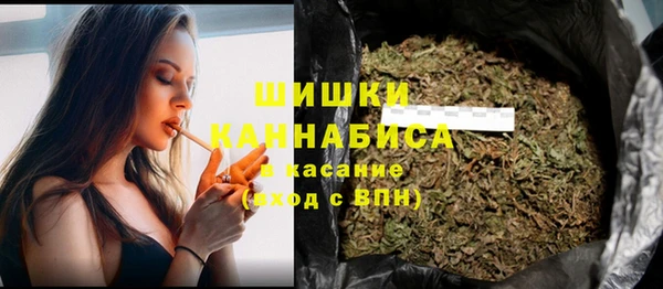 гашик Арсеньев