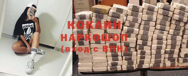 гашик Арсеньев