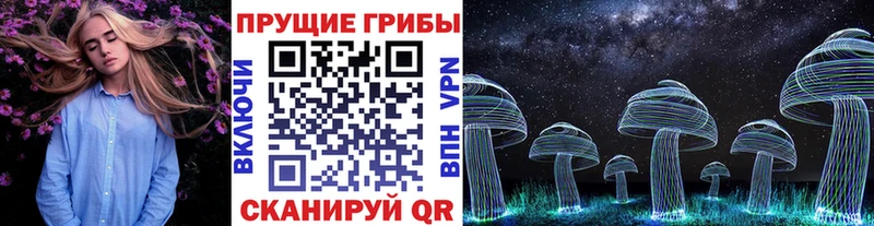 наркошоп  Тырныауз  Псилоцибиновые грибы прущие грибы 